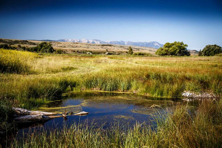 Lucky Duck Ranch - Big Timber, Montana
