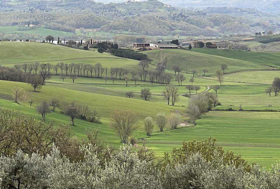 Villa San Lorenzo Umbrian Estate - Castiglione Del Lago, Italy
