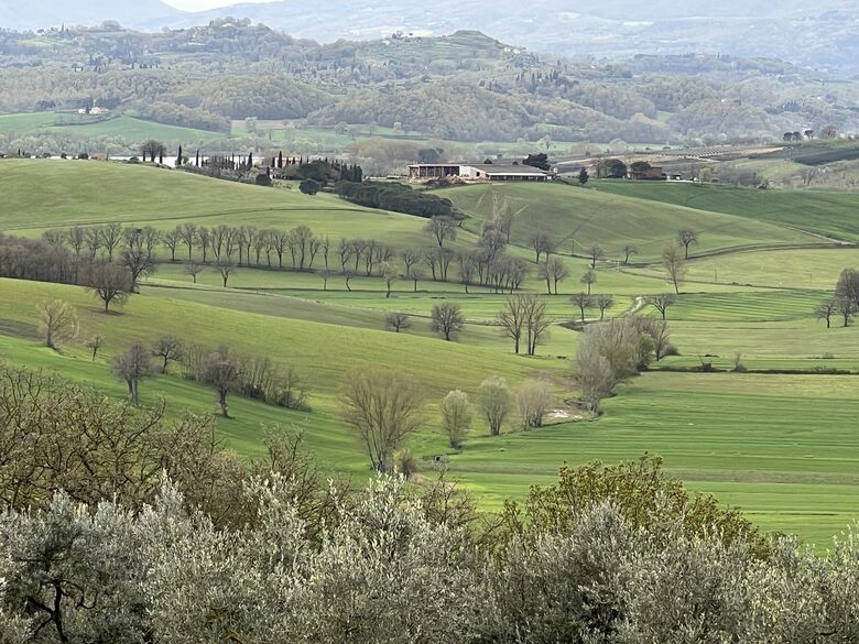 Villa San Lorenzo Umbrian Estate - Castiglione Del Lago, Italy