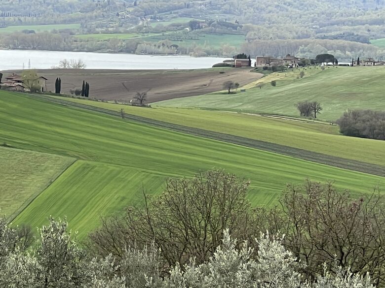 Villa San Lorenzo Umbrian Estate - Castiglione Del Lago, Italy