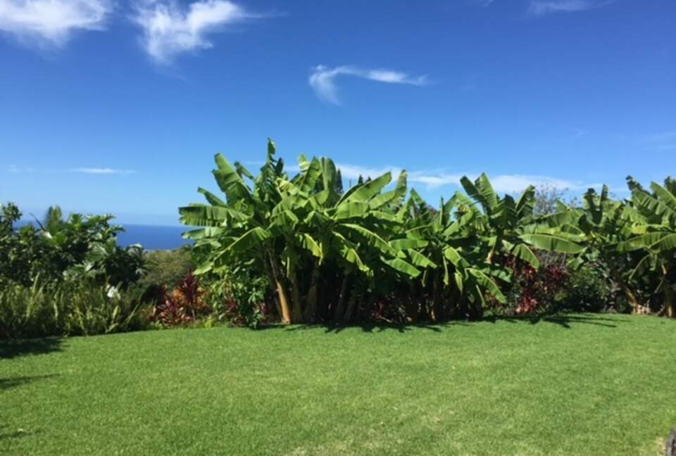 Kona Blue Laule'a House - Kailua Kona, Hawaii