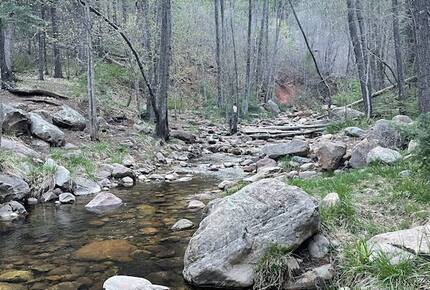 Luxury Cabin Living - Tall Forest Pines - Payson, Arizona
