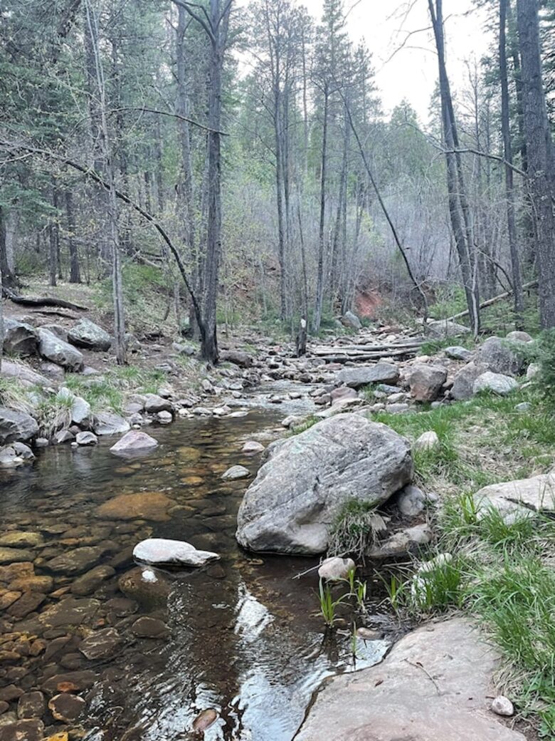 Luxury Cabin Living - Tall Forest Pines - Payson, Arizona