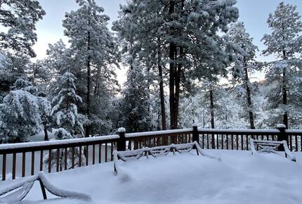 Luxury Cabin Living - Tall Forest Pines - Payson, Arizona