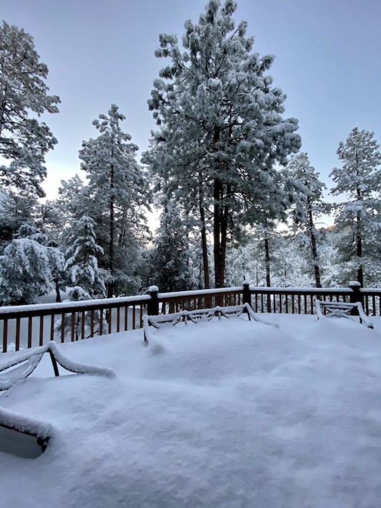 Luxury Cabin Living - Tall Forest Pines - Payson, Arizona