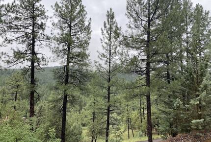 Luxury Cabin Living - Tall Forest Pines - Payson, Arizona