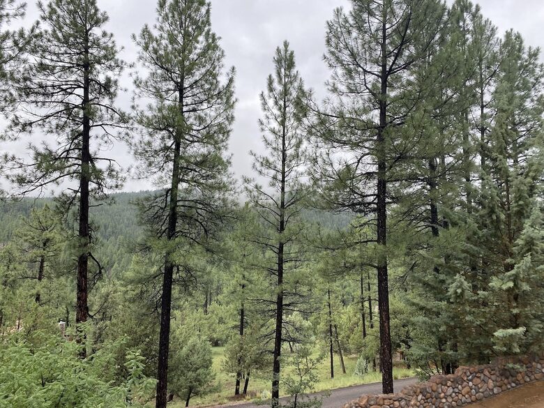 Luxury Cabin Living - Tall Forest Pines - Payson, Arizona