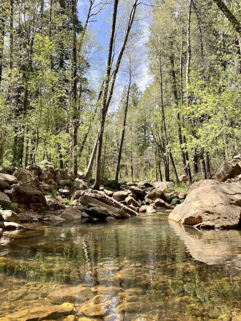 Luxury Cabin Living - Tall Forest Pines - Payson, Arizona
