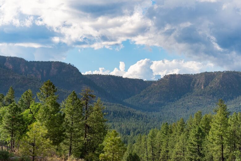 Luxury Cabin Living - Tall Forest Pines - Payson, Arizona