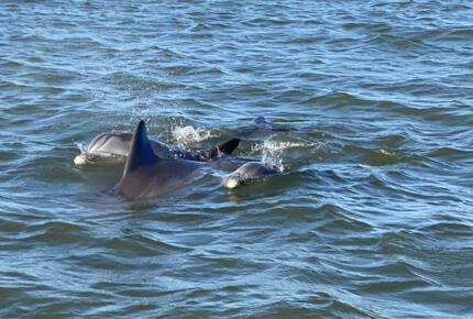 Bayfront Getaway with a Pool and Hot Tub - Galveston, Texas