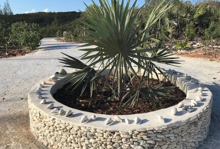 Governor's Harbour High-end Home | Large Private Pool, Snorkeling, Cliff Jumping, Kayaks & SUP! - Governor's Harbour, Bahamas