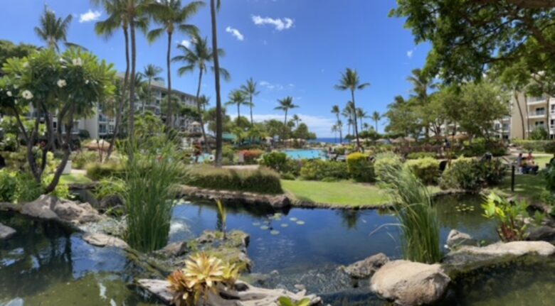 The Westin Ka'anapali Ocean Resort Villas | Studio - Maui, Hawaii