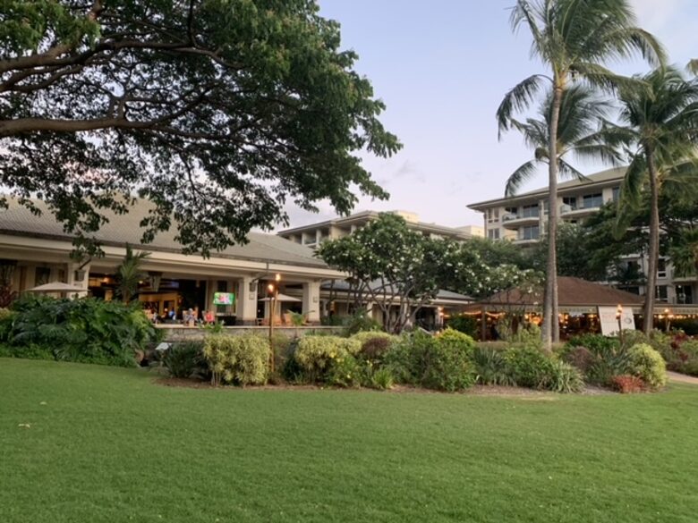 The Westin Ka'anapali Ocean Resort Villas | Studio - Maui, Hawaii