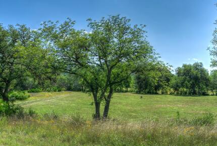 Frio River Ranch House on Gated 30 ACRES | Great for Fishing on Private Riverfront! - Leakey, Texas
