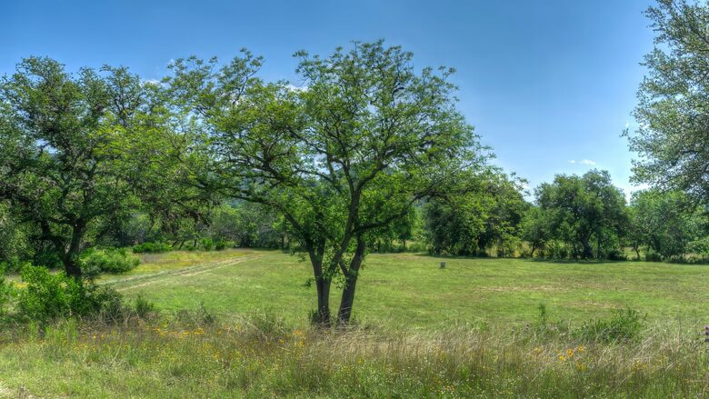 Frio River Ranch House on Gated 30 ACRES | Great for Fishing on Private Riverfront! - Leakey, Texas