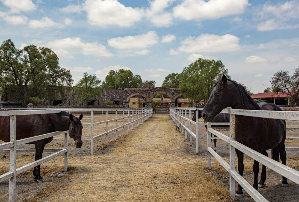 Luxury Mexican Hacienda Mesón Real De Plata - Santiago de Querétaro, Mexico