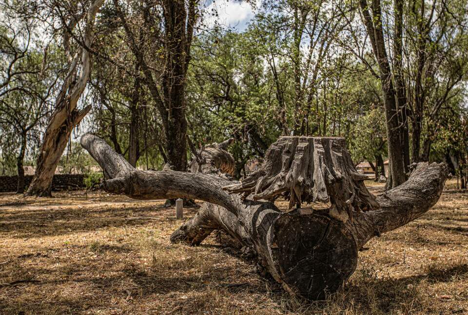 Luxury Mexican Hacienda Mesón Real De Plata - Santiago de Querétaro, Mexico
