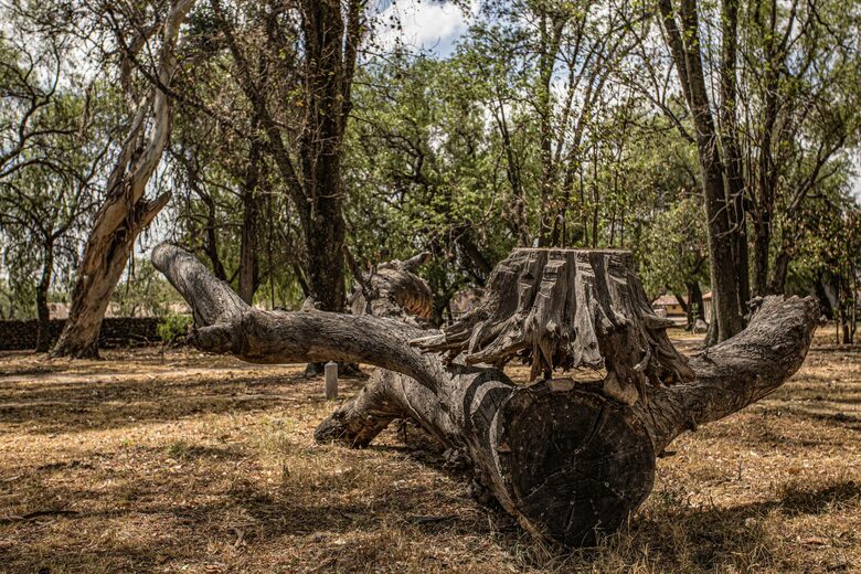 Luxury Mexican Hacienda Mesón Real De Plata - Santiago de Querétaro, Mexico