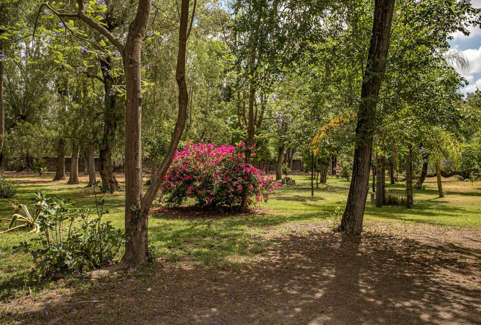Luxury Mexican Hacienda Mesón Real De Plata - Santiago de Querétaro, Mexico