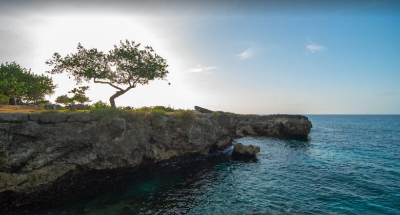 Luxury SettleDown Villa 2 at Chukka Cove in St Ann - Llandovery, Jamaica