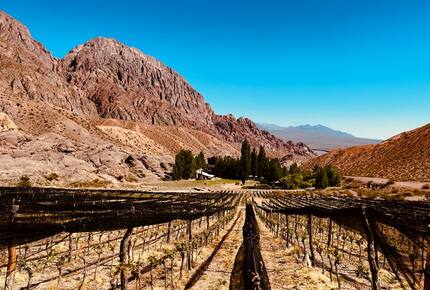 Mountain Luxury Ranch with private vineyards - Uspallata, Argentina