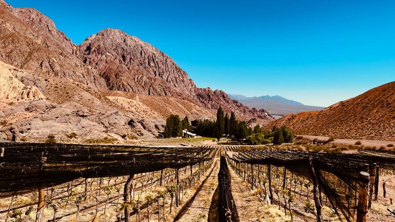 Mountain Luxury Ranch with private vineyards - Uspallata, Argentina
