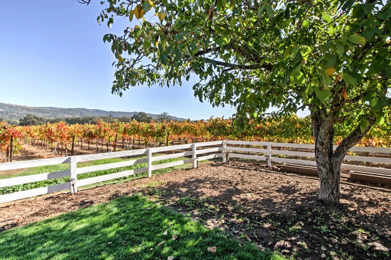 Sonoma Sunsets | With patio and vineyard views - Sonoma, California