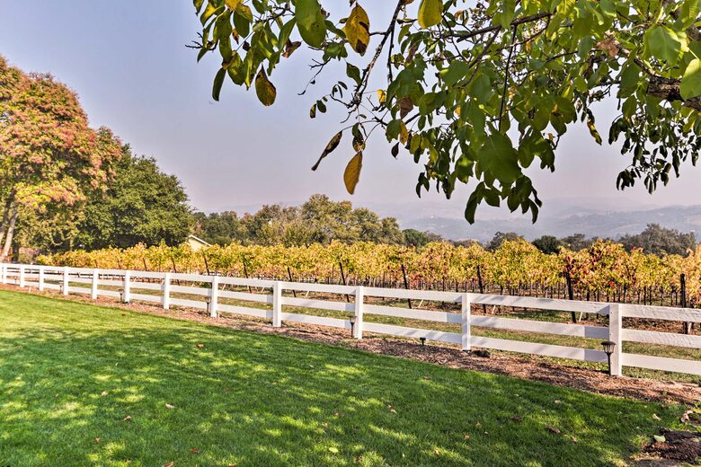 Sonoma Sunsets | With patio and vineyard views - Sonoma, California