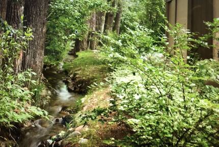 Aspen Getaway - Aspen, Colorado