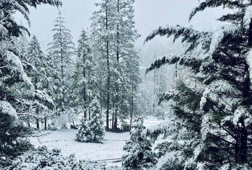 The Happy Place at Yosemite | Outdoor Adventurers Dream with Endless Amenities - Groveland, California