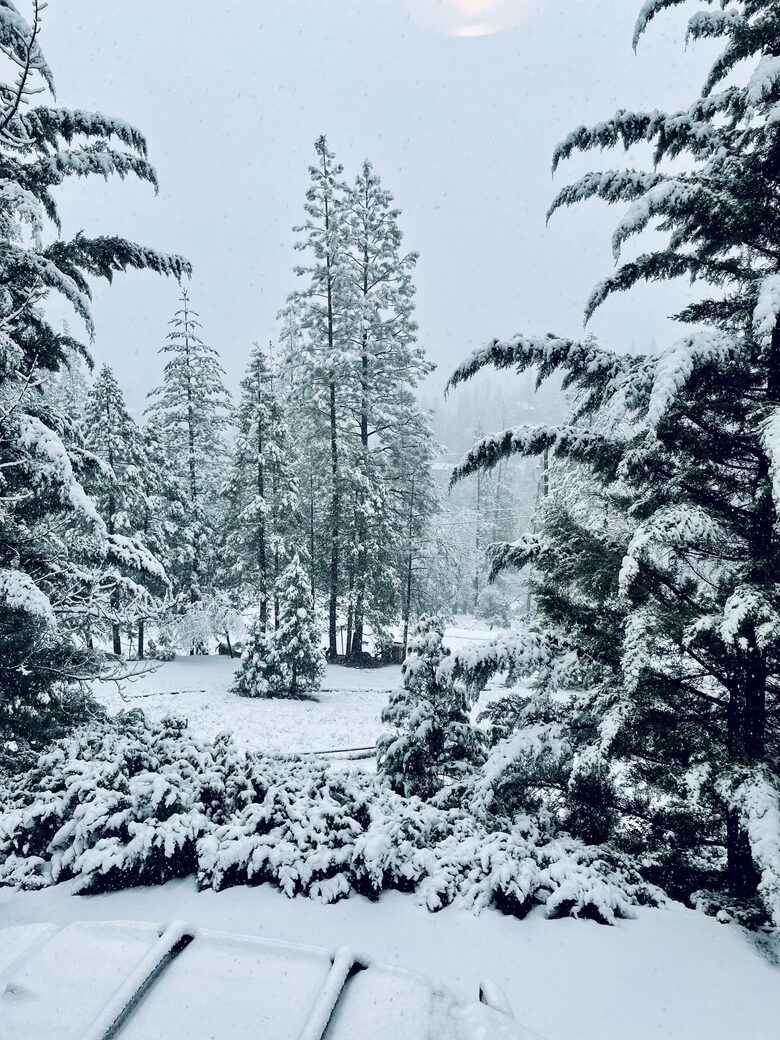 The Happy Place at Yosemite | Outdoor Adventurers Dream with Endless Amenities - Groveland, California