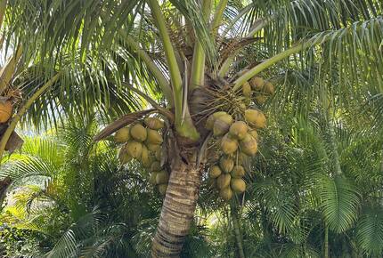 Delray Beach Private Oasis - Delray Beach, Florida