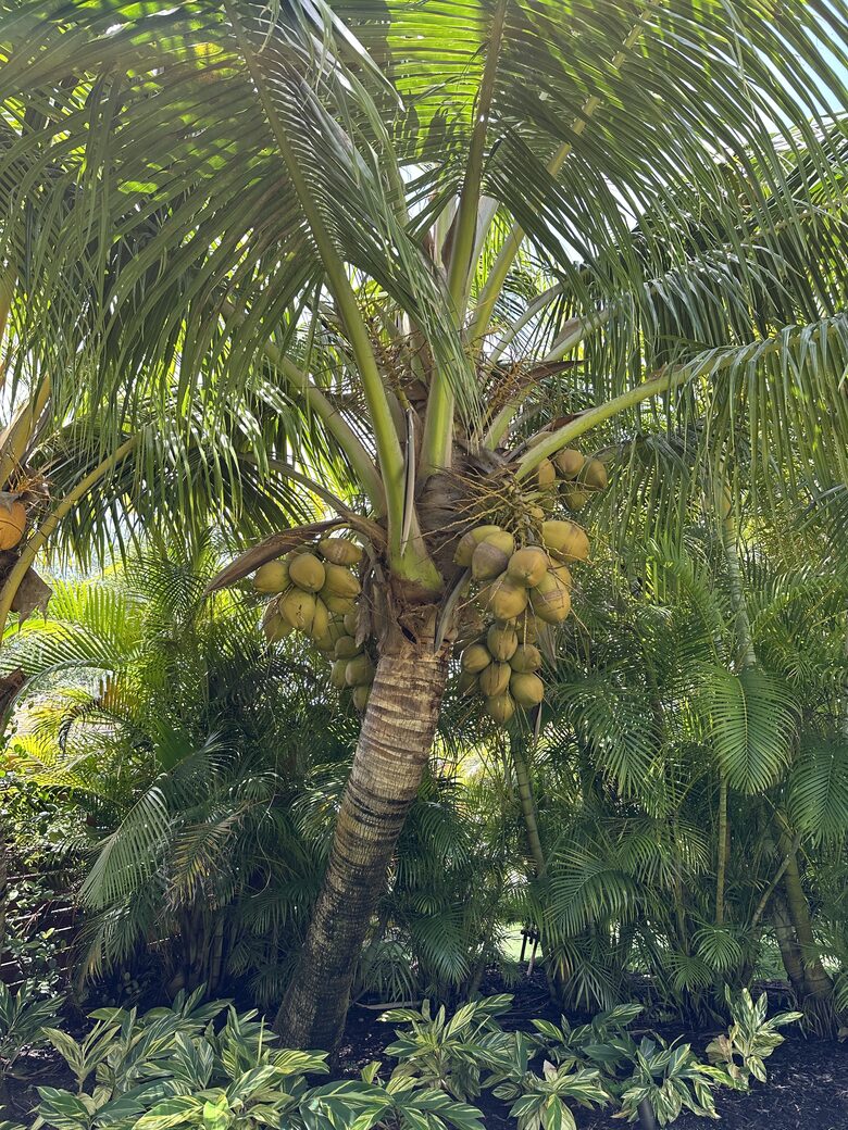 Delray Beach Private Oasis - Delray Beach, Florida