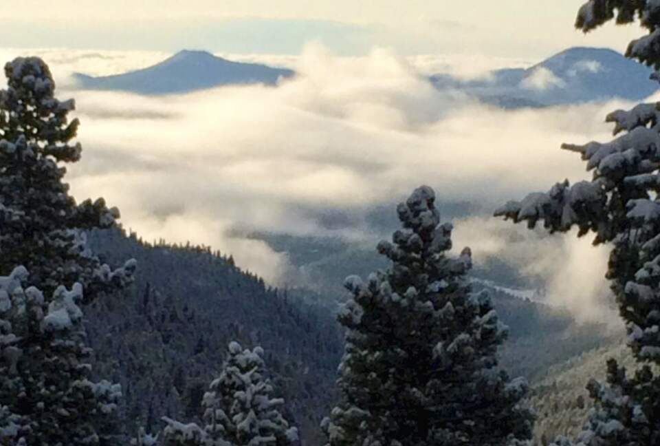 Entertainer's Dream in Evergreen - Evergreen, Colorado