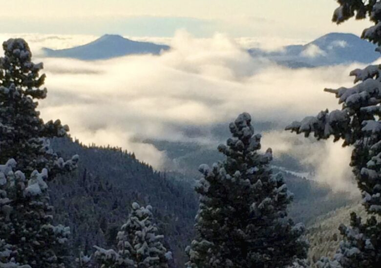 Entertainer's Dream in Evergreen - Evergreen, Colorado