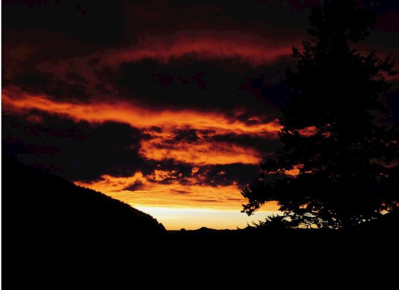 Entertainer's Dream in Evergreen - Evergreen, Colorado