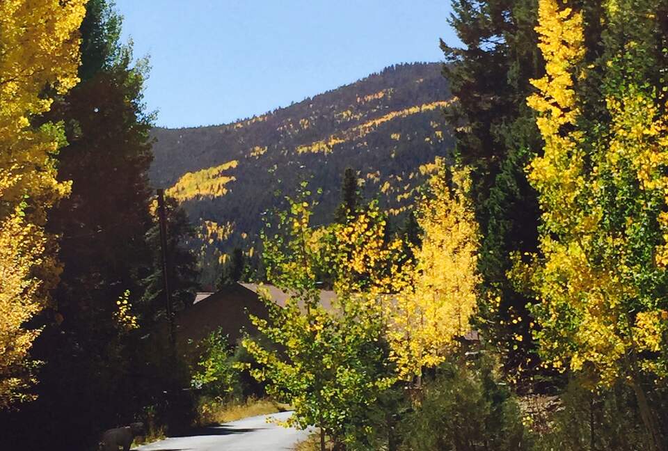 Entertainer's Dream in Evergreen - Evergreen, Colorado