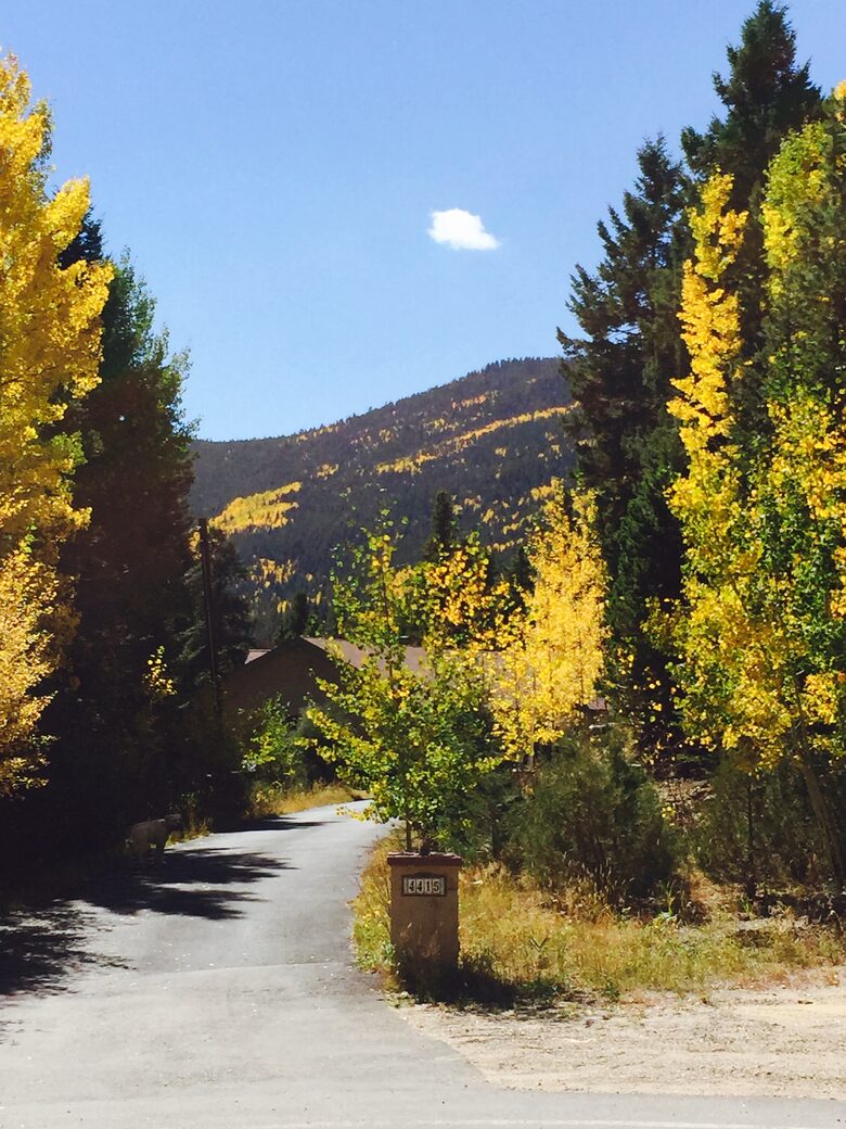 Entertainer's Dream in Evergreen - Evergreen, Colorado