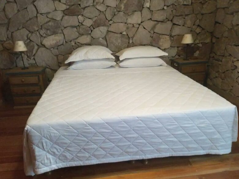 Mountain Luxury Ranch with private vineyards - Uspallata, Argentina