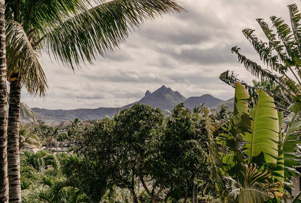 Anahita Dream (R) - Beau Champ, Mauritius