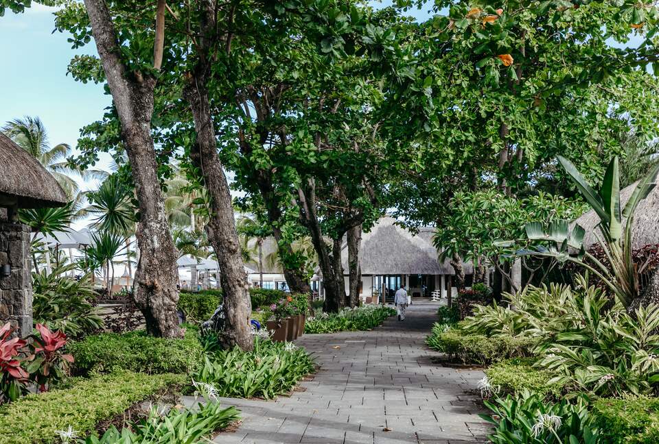 Anahita Dream (R) - Beau Champ, Mauritius