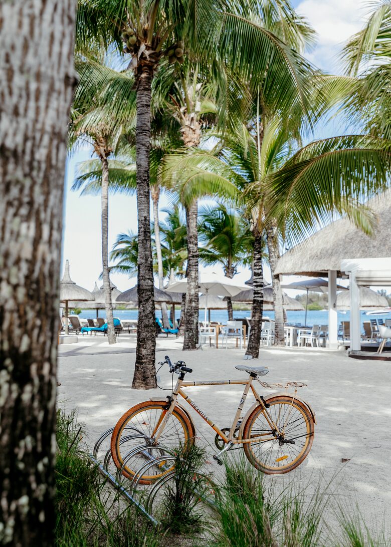 Anahita Dream (R) - Beau Champ, Mauritius