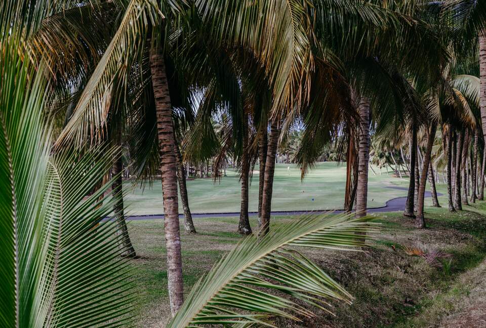 Anahita Dream (R) - Beau Champ, Mauritius