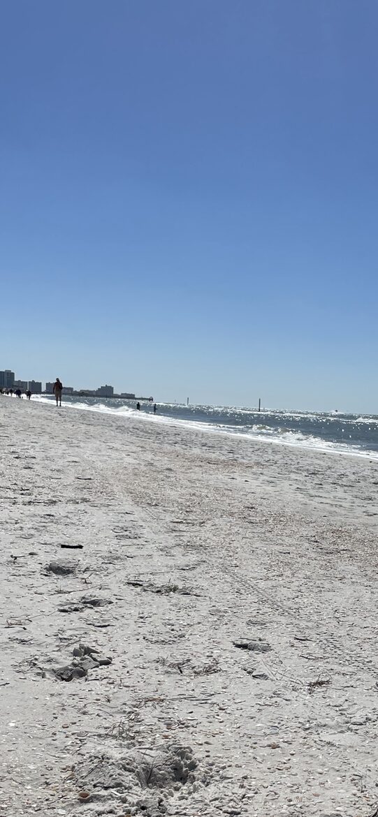 North Beach Beauty with a Pool - Clearwater Beach, Florida