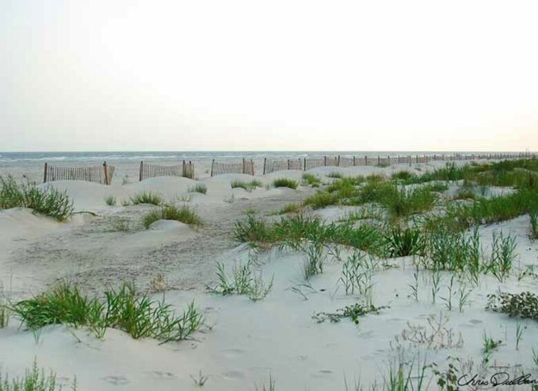 Sullivan's Island Ocean Villa - Sullivans Island, South Carolina