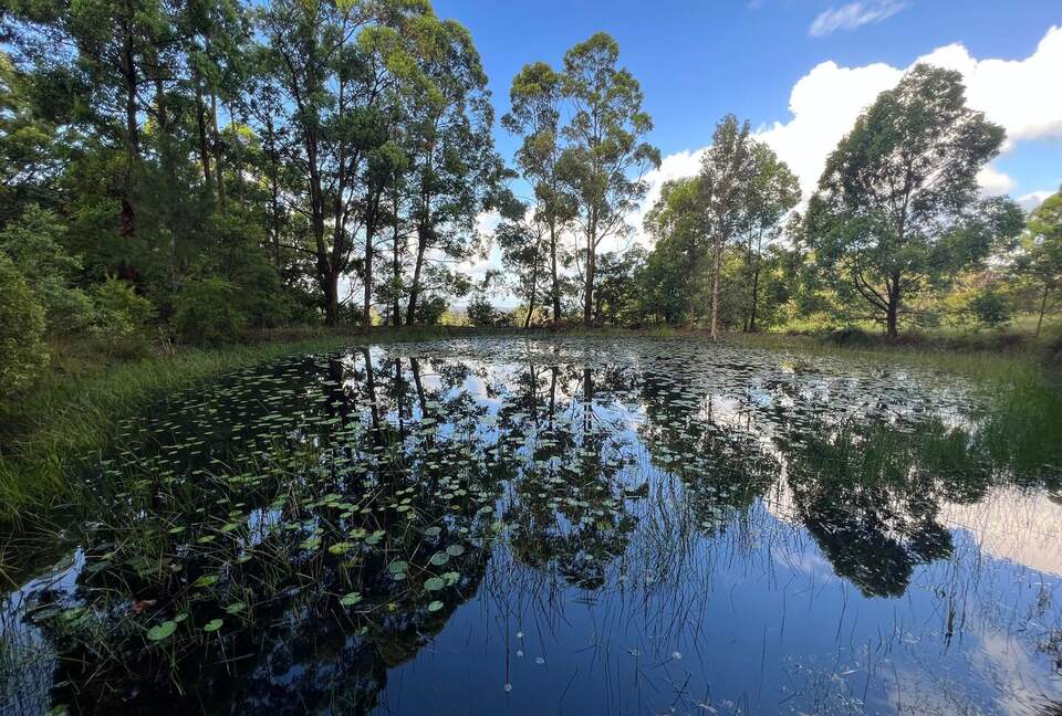 Sutherland Downs - Coomba Bay, Australia