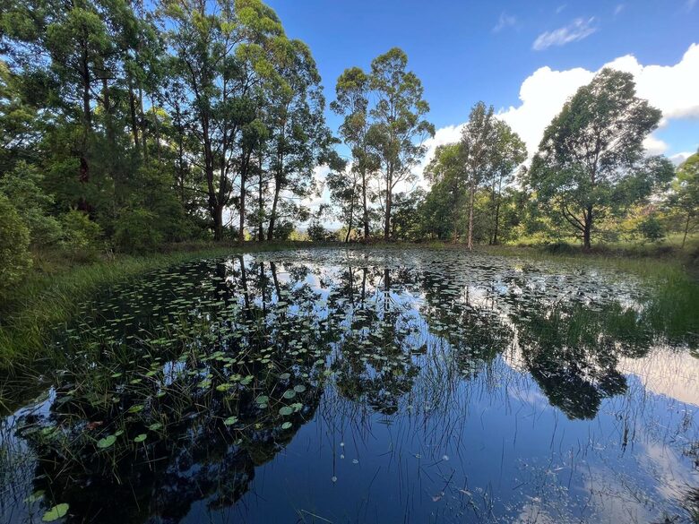Sutherland Downs - Coomba Bay, Australia