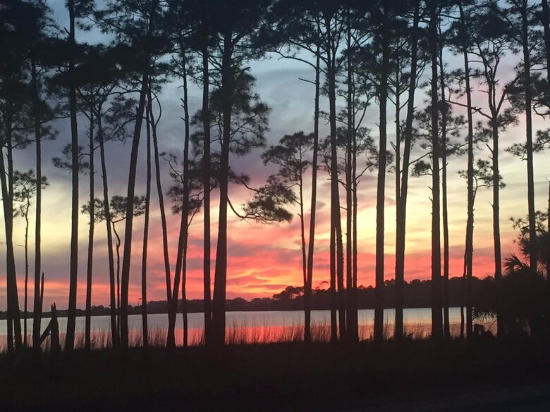 Three Little Birds | Gulf Views, South of 30A - Santa Rosa Beach, Florida