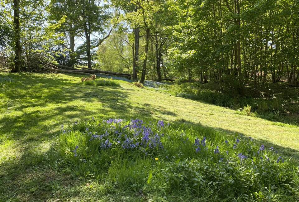 Stunning parkland gardens