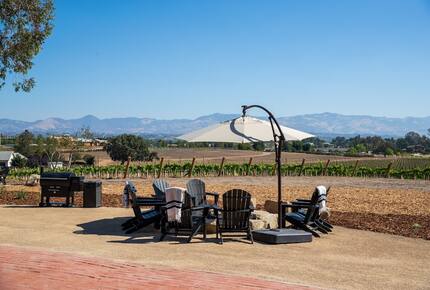 Deboem Vineyard | 20 Acre Organic Vineyard - Ballard, California